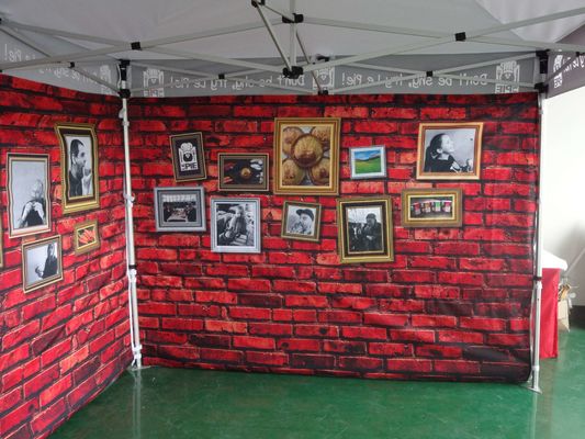 Promocja Namiot z baldachimem na zewnątrz 10X20FT Reklama Składany baldachim altany
